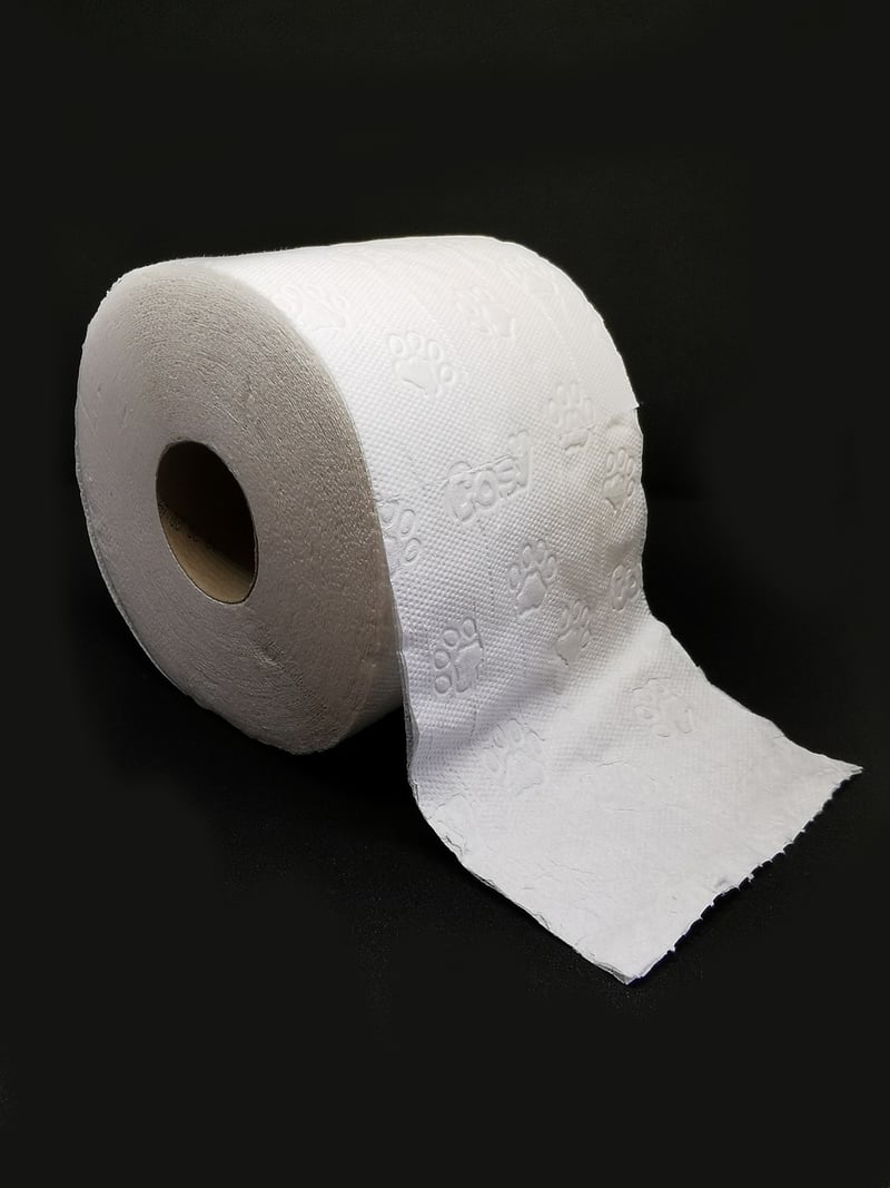 Toilet Paper Rolls